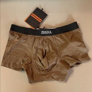 Men's Zegna Trunks